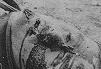 Click image for larger version

Name:	Dead kid.jpg
Views:	404
Size:	3.9 KB
ID:	214316