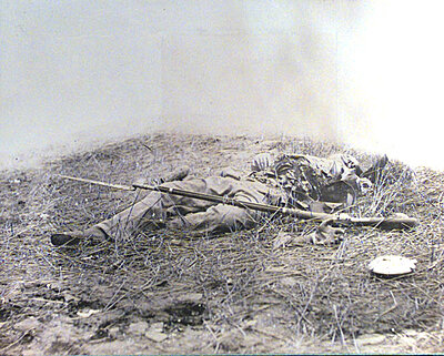 Click image for larger version

Name:	DeadConfedRoseFarm.jpg
Views:	362
Size:	119.0 KB
ID:	214912