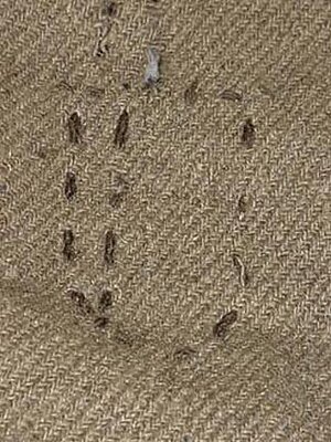 Click image for larger version

Name:	Blanket U 130.jpg
Views:	214
Size:	62.0 KB
ID:	215171