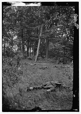 Click image for larger version

Name:	Matthews Hil Dead.jpg
Views:	314
Size:	177.4 KB
ID:	216592