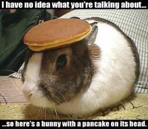 Click image for larger version

Name:	pcbun.jpg
Views:	94
Size:	18.6 KB
ID:	216678