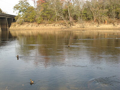 Click image for larger version

Name:	IMG_0025.JPG
Views:	138
Size:	640.2 KB
ID:	216926