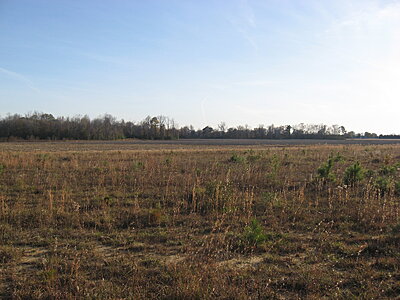Click image for larger version

Name:	IMG_0041.JPG
Views:	149
Size:	593.7 KB
ID:	216931