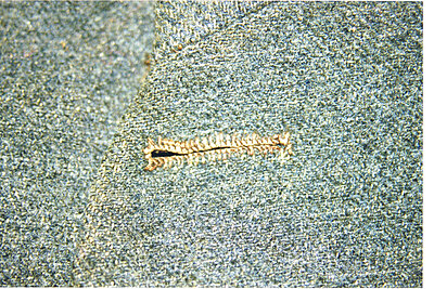 Click image for larger version

Name:	Buttonholes12.jpg
Views:	362
Size:	1.99 MB
ID:	217062