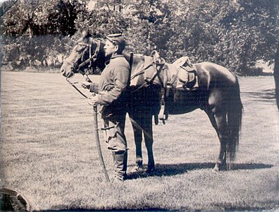 Click image for larger version

Name:	TrooperandHorse.jpg
Views:	805
Size:	111.2 KB
ID:	217088