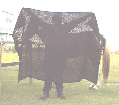 Click image for larger version

Name:	Wedding_and_Moss019.jpg
Views:	213
Size:	37.2 KB
ID:	217177