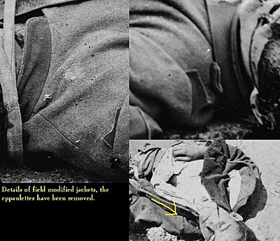 Click image for larger version

Name:	eppaulettesatpetersburg.jpg
Views:	292
Size:	131.3 KB
ID:	217413