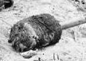 Click image for larger version

Name:	Gettysburg Sponge On Battlefield July 5, 1865.jpg
Views:	181
Size:	12.4 KB
ID:	217557