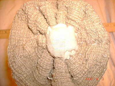Click image for larger version

Name:	DSC00651.JPG
Views:	179
Size:	1.23 MB
ID:	217647
