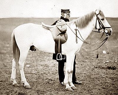 Click image for larger version

Name:	Lieutenant-Codrington-William-General.jpg
Views:	284
Size:	140.1 KB
ID:	218327