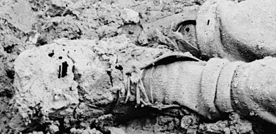 Click image for larger version

Name:	Petersburg dead.jpg
Views:	257
Size:	71.0 KB
ID:	218949