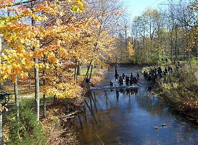 Click image for larger version

Name:	Wolcott Mill 2008 029.jpg
Views:	223
Size:	1,001.2 KB
ID:	219012