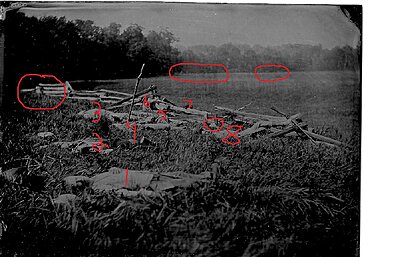 Click image for larger version

Name:	cirled dead pic.jpg
Views:	240
Size:	209.4 KB
ID:	219583