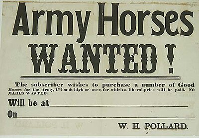 Click image for larger version

Name:	Broadside[armyhorses].jpg
Views:	240
Size:	34.0 KB
ID:	219825