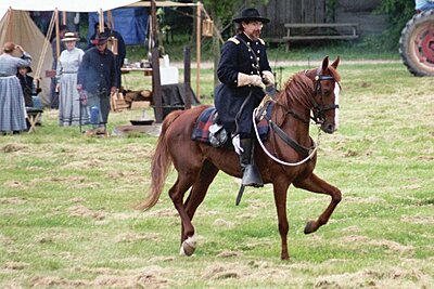 Click image for larger version

Name:	Chad horse.JPG
Views:	273
Size:	166.2 KB
ID:	219829