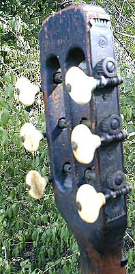 Click image for larger version

Name:	1850s guitar - 7.jpg
Views:	281
Size:	61.8 KB
ID:	220533