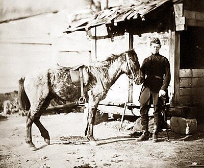 Click image for larger version

Name:	Crimea- Coldstream-Heneage-Captain-Guards.jpg
Views:	188
Size:	55.6 KB
ID:	220654