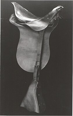 Click image for larger version

Name:	Jenifer, Jefferson Davis Saddle.jpg
Views:	668
Size:	798.2 KB
ID:	220657