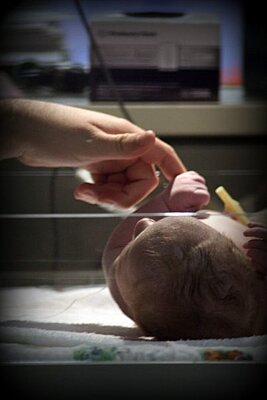 Click image for larger version

Name:	Dublin3.jpg
Views:	149
Size:	25.6 KB
ID:	220700