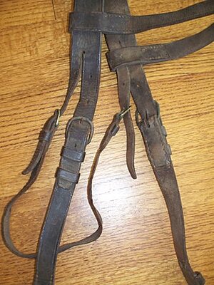 Click image for larger version

Name:	Brass HS Buckle bridle.jpg
Views:	298
Size:	50.9 KB
ID:	220835