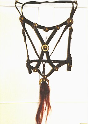 Click image for larger version

Name:	British Bridle.jpg
Views:	252
Size:	1.10 MB
ID:	220853