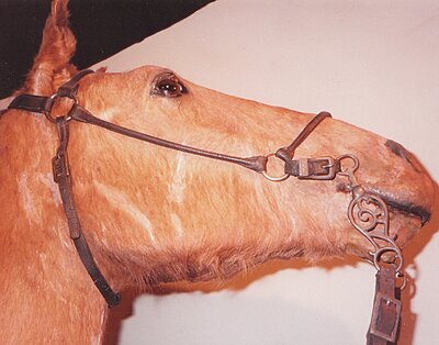Click image for larger version

Name:	Little Sorrel bridle.jpg
Views:	267
Size:	871.0 KB
ID:	220854