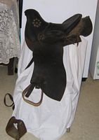 Click image for larger version

Name:	tn_saddle1.jpg
Views:	381
Size:	6.9 KB
ID:	220877
