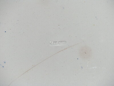 Click image for larger version

Name:	Platter Mark.jpg
Views:	153
Size:	776.7 KB
ID:	220907