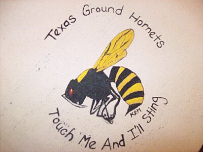 Click image for larger version

Name:	Texas Ground Hornets.JPG
Views:	177
Size:	888.2 KB
ID:	220936