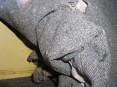 Click image for larger version

Name:	Midway Museum 005.jpg
Views:	853
Size:	722.7 KB
ID:	222886