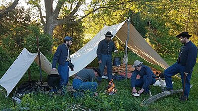 Click image for larger version

Name:	Fly tents.jpg
Views:	179
Size:	150.1 KB
ID:	225341