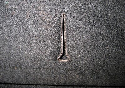Click image for larger version

Name:	topstitching and buttonhole r.jpg
Views:	309
Size:	99.2 KB
ID:	226815