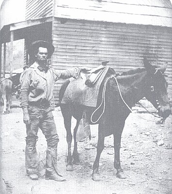 Click image for larger version

Name:	California_Saddle_1850's_Orlando_Ballou.JPG
Views:	231
Size:	1.96 MB
ID:	226851