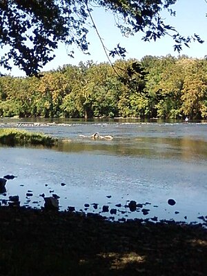 Click image for larger version

Name:	Photo0538.jpg
Views:	131
Size:	58.6 KB
ID:	227139