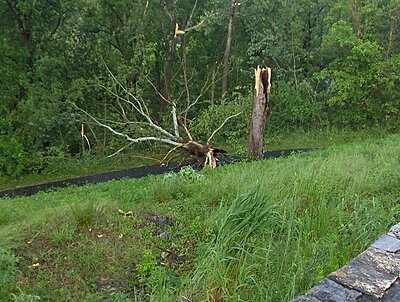 Click image for larger version

Name:	06-04-08Burnside Bridge Path.jpg
Views:	140
Size:	420.0 KB
ID:	227832