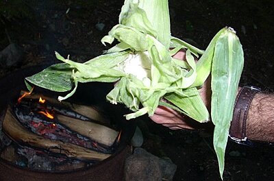 Click image for larger version

Name:	C.E.2 Flour.JPG
Views:	215
Size:	51.9 KB
ID:	227930