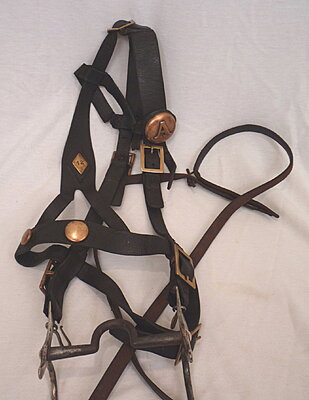 Click image for larger version

Name:	Natchez bridle.jpg
Views:	275
Size:	433.5 KB
ID:	228034