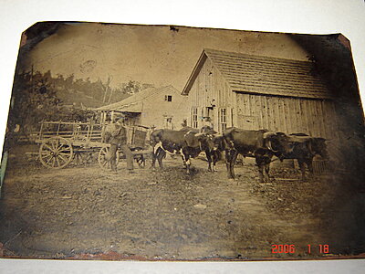 Click image for larger version

Name:	Oxen team tintype.jpg
Views:	373
Size:	1.78 MB
ID:	228190