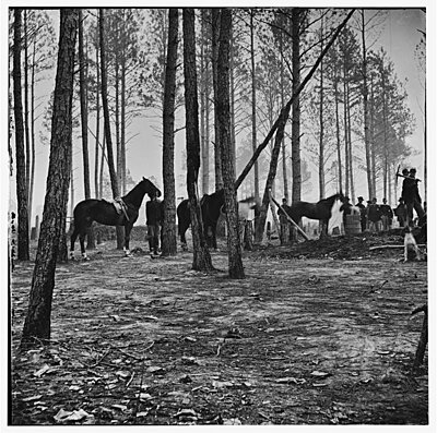Click image for larger version

Name:	Cav Camp..jpg
Views:	223
Size:	132.4 KB
ID:	229416