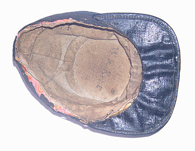 Click image for larger version

Name:	Kite 3.jpg
Views:	287
Size:	52.8 KB
ID:	229517