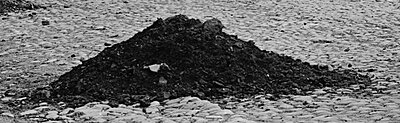 Click image for larger version

Name:	poop..jpg
Views:	148
Size:	53.6 KB
ID:	229575