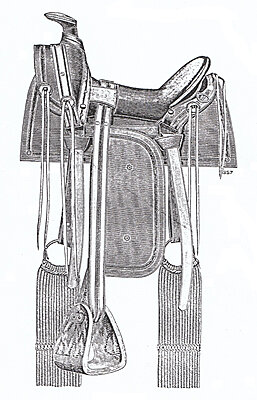 Click image for larger version

Name:	Texas saddle- Jacob Strauss Co.jpg
Views:	1746
Size:	500.5 KB
ID:	230577