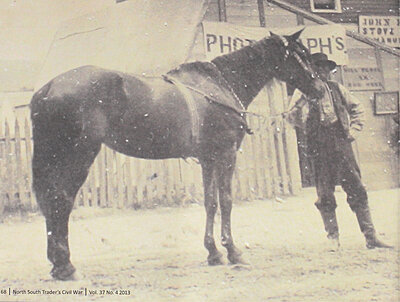 Click image for larger version

Name:	Sur. John Wiley horse 6th NJ Inf.jpg
Views:	242
Size:	991.0 KB
ID:	230592