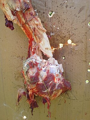 Click image for larger version

Name:	Leg Bone After.jpg
Views:	258
Size:	1.91 MB
ID:	230862