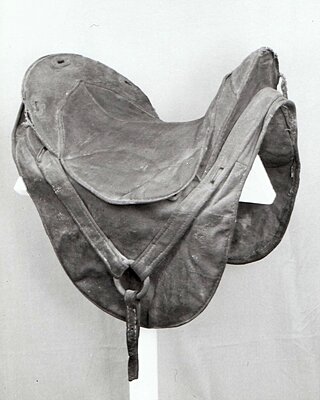 Click image for larger version

Name:	Cloth Saddle, J Howard Wert.jpg
Views:	208
Size:	494.9 KB
ID:	230896