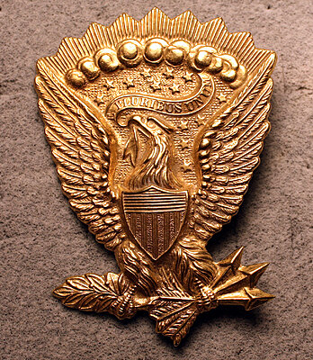 Click image for larger version

Name:	802 hat eagle front.jpg
Views:	161
Size:	1.28 MB
ID:	231988