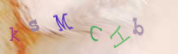 Registration Image