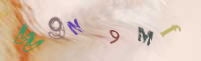 Registration Image