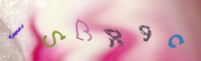 Registration Image